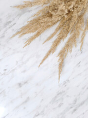pampas grass on a marble table