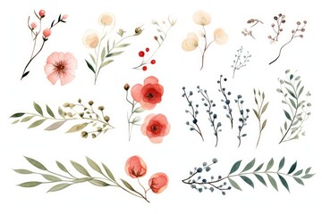 Set of flowers and herbs painted in watercolor on white paper, watercolor flower garland wreath.