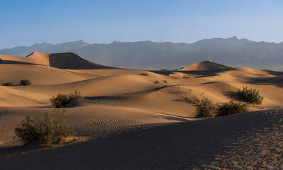 Sand dunes of Death Valley, at dawn, with high mountains in the horizon, hazy dusty sky. California, USA. Long shadows.
