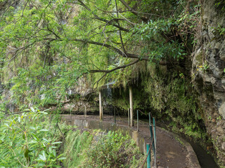 View of levada, water irrigation channel and tropical plants from hiking trail Levada do moinho to...