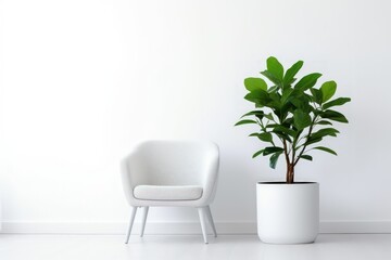 White chair and potted plant in a living room.