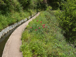 View of levada, water irrigation channel and tropical plants from hiking trail Levada do moinho to levada nova waterfall. Madeira, Portugal