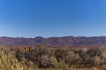 Road of a thousand Kasbahs is a spectacular drive winding through stunning desert landscapes.