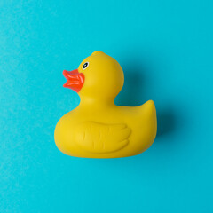 Yellow rubber duck on blue background. Summer minimal concept.