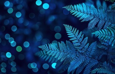 fern leaves and blue light on the night