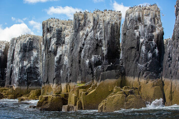 Fototapeta na wymiar rocks on Farne island