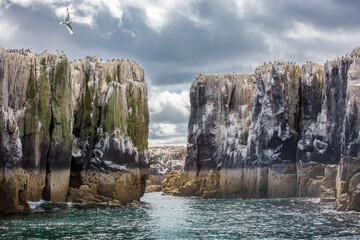 rocks Farne islands