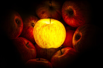 Red apple glowing yellow surrounded of red apples iluminated by it photographed in dark studio room