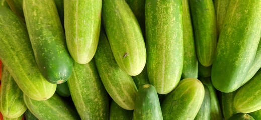 Close up of heap cucumbers placed on stall of market ready to sold. Cucumber background
