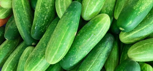 Close up of heap cucumbers placed on stall of market ready to sold. Cucumber background
