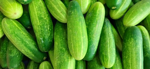 Close up of heap cucumbers placed on stall of market ready to sold. Cucumber background