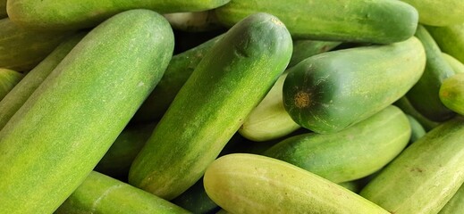 Close up of heap cucumbers placed on stall of market ready to sold. Cucumber background