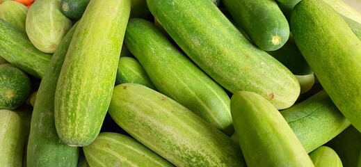 Close up of heap cucumbers placed on stall of market ready to sold. Cucumber background