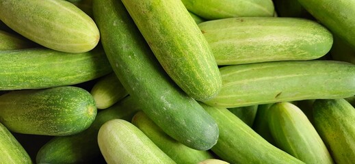Close up of heap cucumbers placed on stall of market ready to sold. Cucumber background