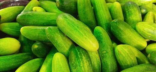 Close up of heap cucumbers placed on stall of market ready to sold. Cucumber background