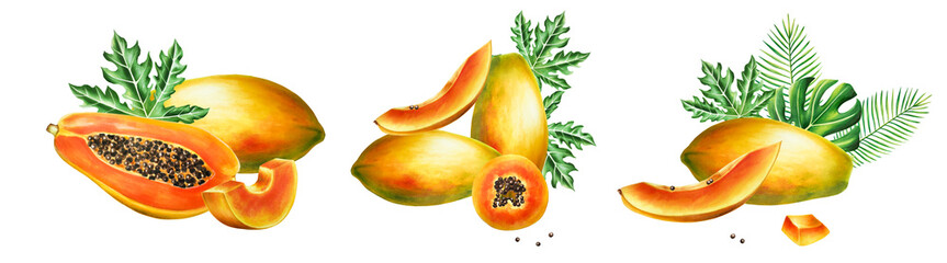 Marker sweet ripe compositions with slice, half papaya and tropical leafs in watercolor style. Hand drawn realistic tasty marker illustration of exotic tropical fruit isolated on background. For desig