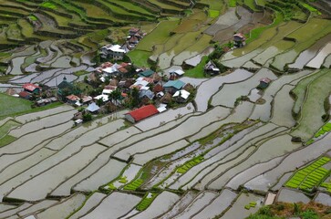 Closeup of the village of Batad, enclosed by rice fields