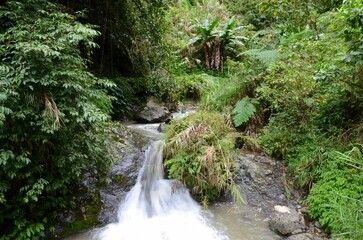 Mountain stream near tthe trekking path to Batad