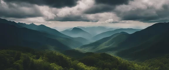 Muurstickers Amazing wild nature view of layer of mountain forest landscape with cloudy sky.  © Adi