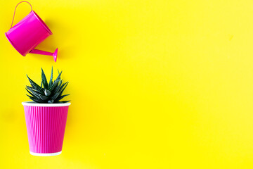 Garden watering can with cacti and flower pots of magenta color on a yellow background. Creative...