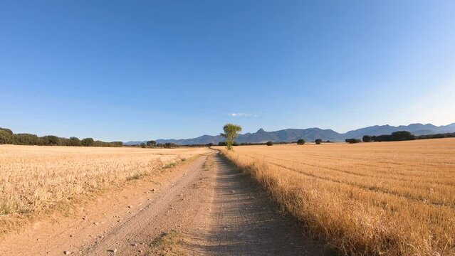 Camino Catalan de Santiago - Camino de Bolea dirt road with a view to the pre-Pyrenees mountain range after Chimillas, Hoya de Huesca, Aragon, Spain