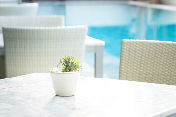 A cactus or succulent plant in white flower pot is placed on marble table with blurred background...