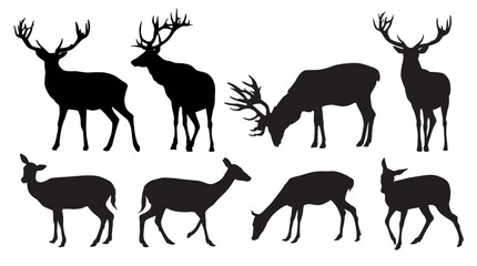 Vector set of black standing and walking deer and doe silhouettes on white background - obrazy, fototapety, plakaty