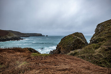 Th&eacute;olen couleur