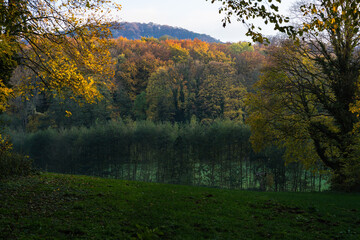 Hilly landscape at the edge of the forest in autumn colors.