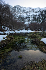 Fototapeta na wymiar Winter landscape with the lake of Arvanita in Epirus, Greece