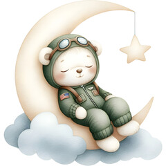 Fototapeta premium pilot bear