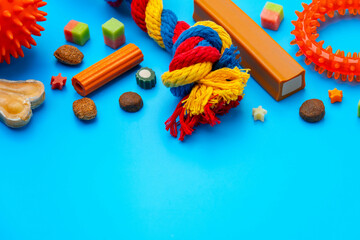 Treats and toys for dogs on blue background close up