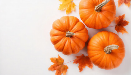 Halloween concept. Top view of orange pumpkins on isolated white background
