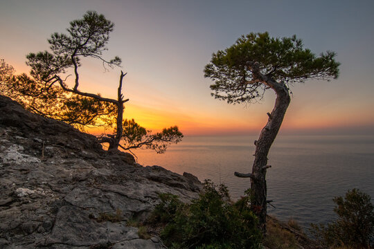 Landscape of a rocky mountain slope with pine trees backlit by a warm sunset over the Mediterranean Sea © Gustavo Muñoz
