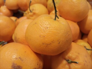 A photo collection of fresh citrus fruit is a versatile and visually stimulating asset