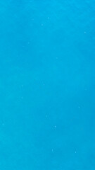 Aerial view of jellyfish in the water near the coast. Coastal ecology.