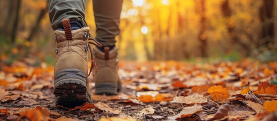 Trekking shoes in closeup. Person walking through fall forest. - obrazy, fototapety, plakaty