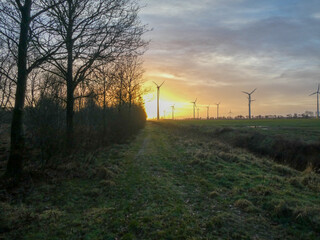 several windmills in the sunset
