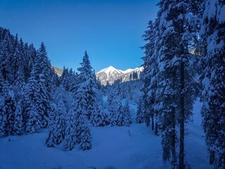 Winterlandschaft mit verschneiten Bäumen und Bergen