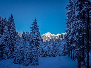 Fototapeta na wymiar Winter Wonderland in Bad Gastein Austria