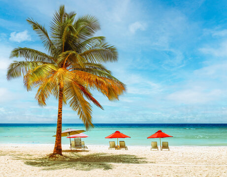 Barbados beach holiday scenes