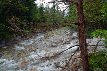 Rocky stream of Kezmarska Biela voda in the Tatra mountain