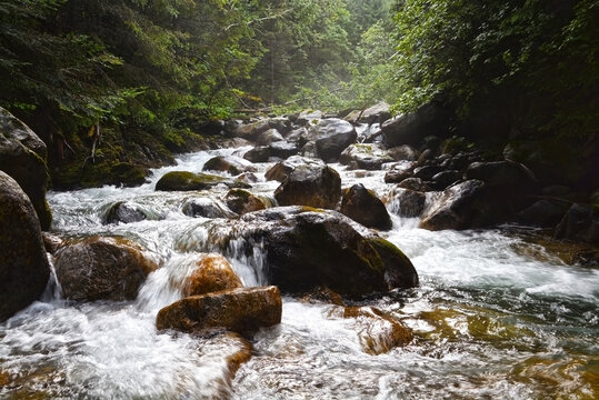 Rocky stream of Kezmarska Biela voda in the Tatra mountain