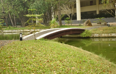 Fototapeta na wymiar A beautiful small walkway bridge across a stream of water in a city.