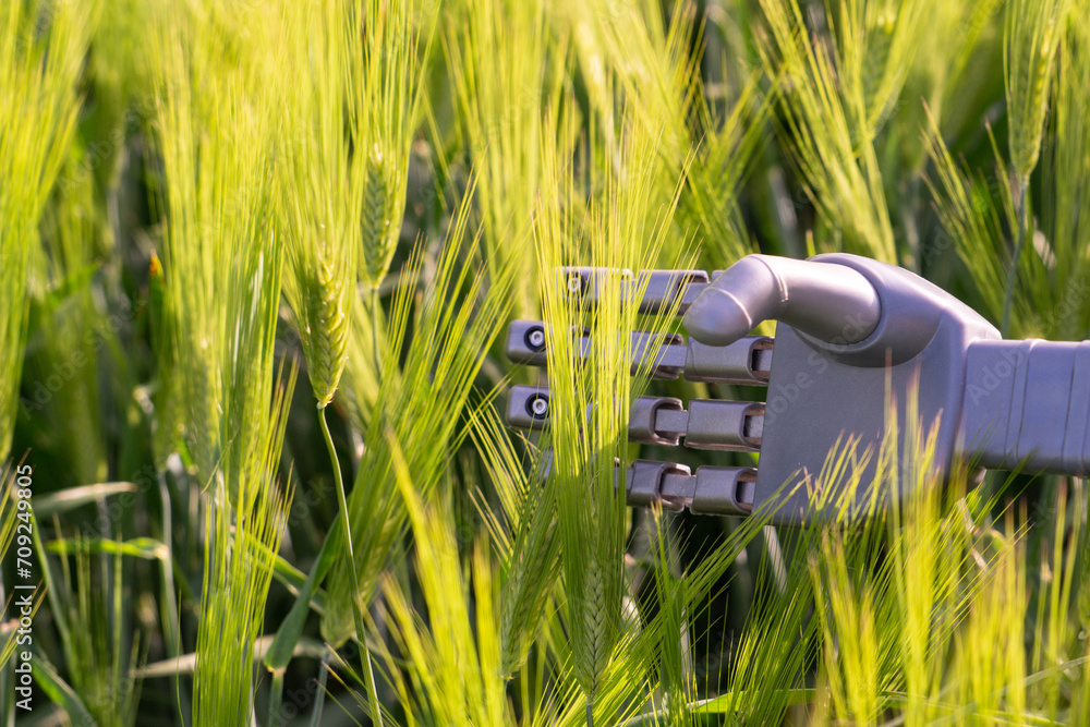 Poster robot hand with ears of rye. smart farming and digital transformation in agriculture 4.0.