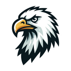 Fototapeta premium bird eagle hawk head logo mascot design vector illustration isolated on white background