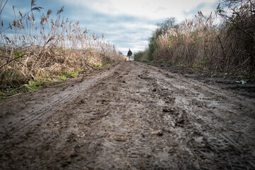 Ground level view of a mud strewn countryside path showing a distance walker and her dog. Popular amongst down walkers at all times of the year.