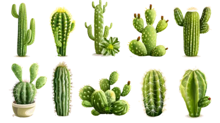 Raamstickers Cactus Set of cactus on transparent background PNG