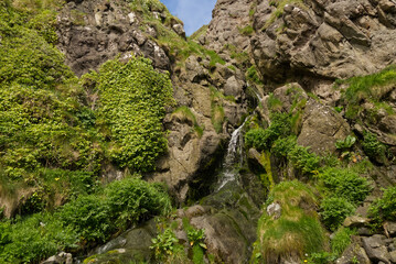 Felswand mit Wasserfall und Pflanzen am Gobbins Cliff