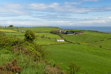 Blick über Höfe, Felder und Wiesen bis zur Klippe am Gobbins Cliff in Nord Irland